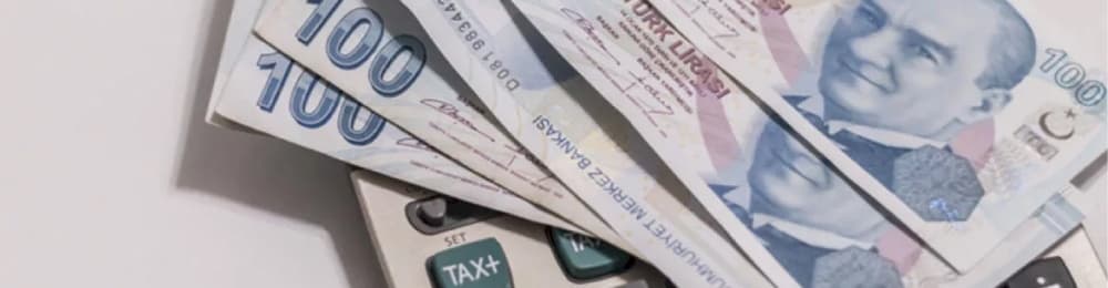 Asgari Ücretin Gelir Vergisinden İstisna Tutulmasına İlişkin 7349 Sayılı Kanun Hükümlerinin Uygulama Usul ve Esaslarını İçeren 319 Seri No.lu Gelir Vergisi Genel Tebliği Resmi Gazete’de Yayımlanmıştır
